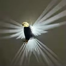 3D Eagle Decoration Lamp | Favelane
